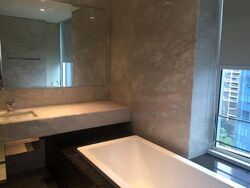 St. Regis Residences (D10), Apartment #573032541